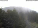 Archiv Foto Webcam Station Baumgartner Puchberg am Schneeberg 13:00