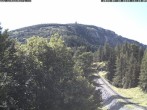 Archiv Foto Webcam Station Baumgartner Puchberg am Schneeberg 15:00