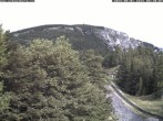 Archiv Foto Webcam Station Baumgartner Puchberg am Schneeberg 07:00