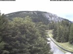 Archiv Foto Webcam Station Baumgartner Puchberg am Schneeberg 11:00