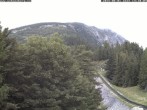 Archiv Foto Webcam Station Baumgartner Puchberg am Schneeberg 13:00