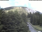 Archiv Foto Webcam Station Baumgartner Puchberg am Schneeberg 09:00