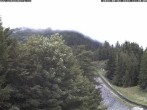 Archiv Foto Webcam Station Baumgartner Puchberg am Schneeberg 11:00