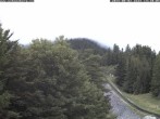 Archiv Foto Webcam Station Baumgartner Puchberg am Schneeberg 13:00