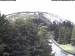 Archiv Foto Webcam Station Baumgartner Puchberg am Schneeberg 11:00