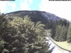 Archiv Foto Webcam Station Baumgartner Puchberg am Schneeberg 11:00