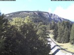 Archiv Foto Webcam Station Baumgartner Puchberg am Schneeberg 13:00