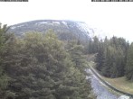 Archiv Foto Webcam Station Baumgartner Puchberg am Schneeberg 03:00