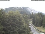 Archiv Foto Webcam Station Baumgartner Puchberg am Schneeberg 13:00