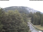 Archiv Foto Webcam Station Baumgartner Puchberg am Schneeberg 15:00
