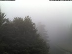 Archiv Foto Webcam Station Baumgartner Puchberg am Schneeberg 03:00