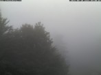 Archiv Foto Webcam Station Baumgartner Puchberg am Schneeberg 06:00