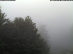 Archiv Foto Webcam Station Baumgartner Puchberg am Schneeberg 07:00