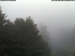 Archiv Foto Webcam Station Baumgartner Puchberg am Schneeberg 09:00