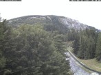Archiv Foto Webcam Station Baumgartner Puchberg am Schneeberg 09:00