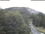 Archiv Foto Webcam Station Baumgartner Puchberg am Schneeberg 13:00