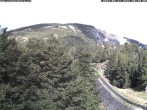Archiv Foto Webcam Station Baumgartner Puchberg am Schneeberg 08:00