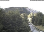 Archiv Foto Webcam Station Baumgartner Puchberg am Schneeberg 11:00