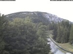 Archiv Foto Webcam Station Baumgartner Puchberg am Schneeberg 13:00