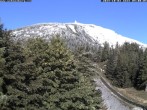 Archiv Foto Webcam Station Baumgartner Puchberg am Schneeberg 08:00