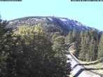 Archiv Foto Webcam Station Baumgartner Puchberg am Schneeberg 13:00