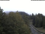 Archiv Foto Webcam Station Baumgartner Puchberg am Schneeberg 13:00