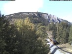 Archiv Foto Webcam Station Baumgartner Puchberg am Schneeberg 11:00