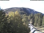 Archiv Foto Webcam Station Baumgartner Puchberg am Schneeberg 13:00