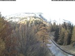 Archiv Foto Webcam Station Baumgartner Puchberg am Schneeberg 11:00