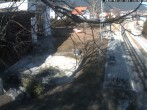 Archiv Foto Webcam Puchberg am Schneeberg - Galerie Voka 13:00