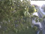 Archiv Foto Webcam Puchberg am Schneeberg - Galerie Voka 05:00