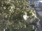 Archiv Foto Webcam Puchberg am Schneeberg - Galerie Voka 06:00
