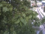 Archiv Foto Webcam Puchberg am Schneeberg - Galerie Voka 13:00