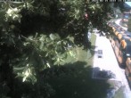 Archiv Foto Webcam Puchberg am Schneeberg - Galerie Voka 13:00