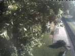 Archiv Foto Webcam Puchberg am Schneeberg - Galerie Voka 06:00