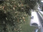 Archiv Foto Webcam Puchberg am Schneeberg - Galerie Voka 09:00