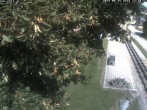 Archiv Foto Webcam Puchberg am Schneeberg - Galerie Voka 11:00