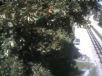 Archiv Foto Webcam Puchberg am Schneeberg - Galerie Voka 13:00
