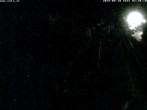 Archiv Foto Webcam Puchberg am Schneeberg - Galerie Voka 23:00