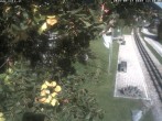 Archiv Foto Webcam Puchberg am Schneeberg - Galerie Voka 11:00
