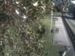 Archiv Foto Webcam Puchberg am Schneeberg - Galerie Voka 08:00