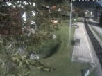 Archiv Foto Webcam Puchberg am Schneeberg - Galerie Voka 09:00