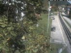 Archiv Foto Webcam Puchberg am Schneeberg - Galerie Voka 11:00