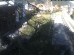Archiv Foto Webcam Puchberg am Schneeberg - Galerie Voka 13:00