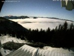 Archiv Foto Webcam Gasthof Waldeggerhaus 05:00