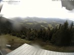 Archiv Foto Webcam Gasthof Waldeggerhaus 11:00