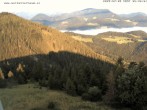 Archiv Foto Webcam Gasthof Waldeggerhaus 05:00