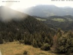 Archiv Foto Webcam Gasthof Waldeggerhaus 11:00