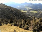 Archiv Foto Webcam Gasthof Waldeggerhaus 13:00