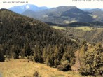 Archiv Foto Webcam Gasthof Waldeggerhaus 11:00